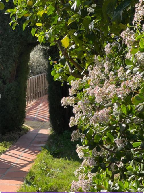 Hotel Rural Los Caracoles Frigiliana Dış mekan fotoğraf