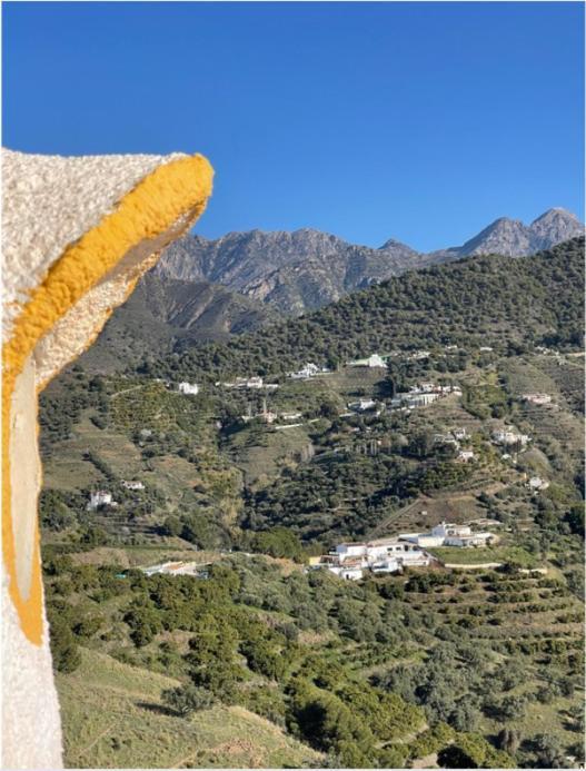 Hotel Rural Los Caracoles Frigiliana Dış mekan fotoğraf
