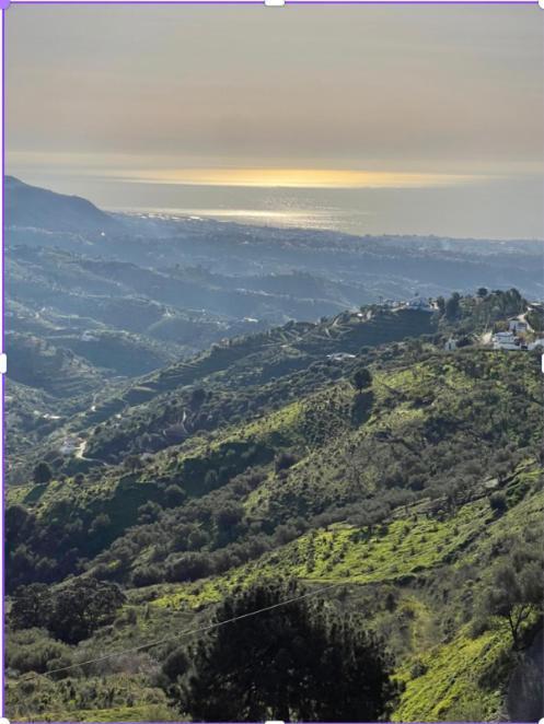 Hotel Rural Los Caracoles Frigiliana Dış mekan fotoğraf